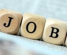 job3.jpg