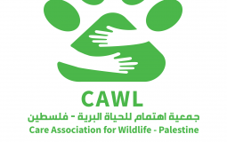 Care Association.jpg