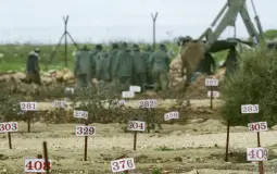 4553.jpg