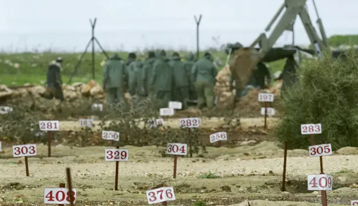 4553.jpg